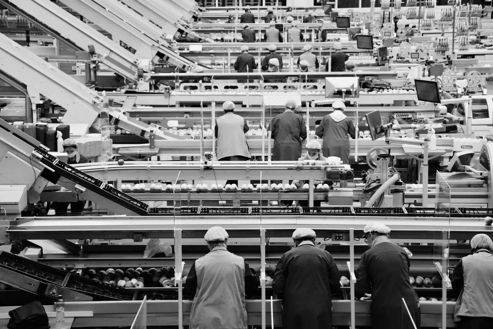 Trabalhadores de costas em uma linha de produção